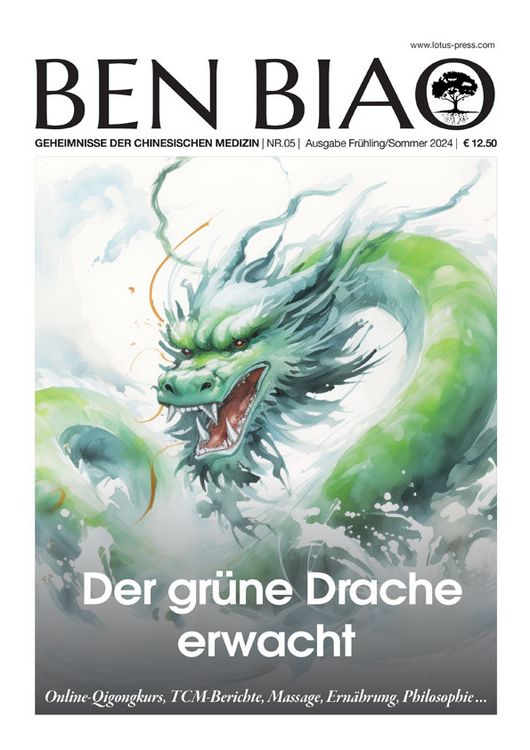 Produktbild: Der gr&uuml;ne Drache erwacht