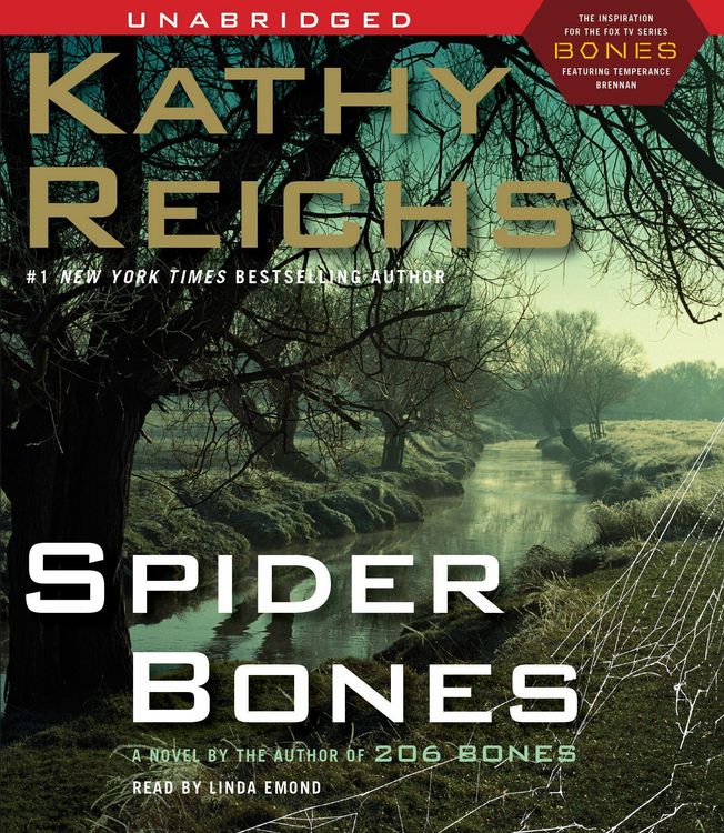 Produktbild: Spider Bones