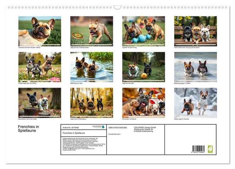 Produktbild: Frenchies in Spiellaune (Wandkalender 2026 DIN A2 quer), CALVENDO Monatskalender
