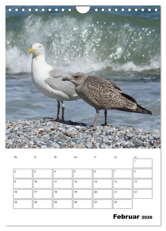 Produktbild: Einzigartige Insel Helgoland (Wandkalender 2026 DIN A4 hoch), CALVENDO Monatskalender