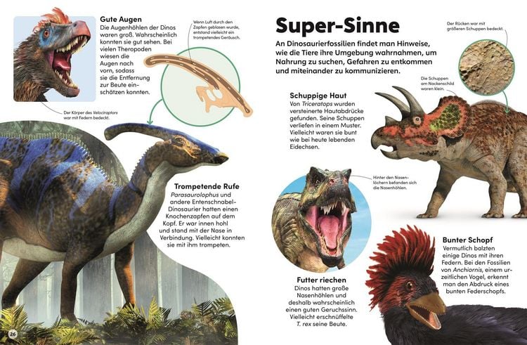 Produktbild: Memo Wissen Kids. Dinosaurier
