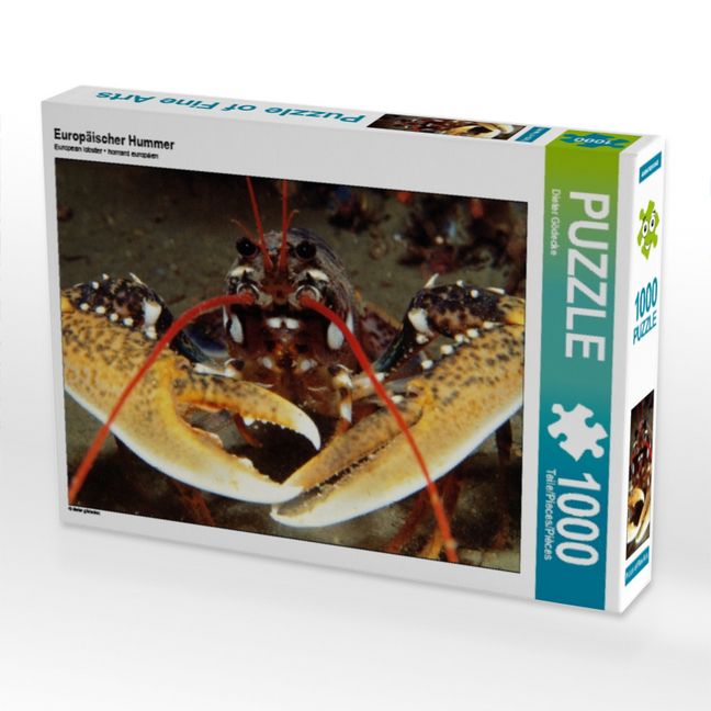 Produktbild: CALVENDO Puzzle Europ&auml;ischer Hummer | 1000 Teile Lege-Gr&ouml;&szlig;e 64x48cm Foto-Puzzle f&uuml;r gl&uuml;ckliche Stunden