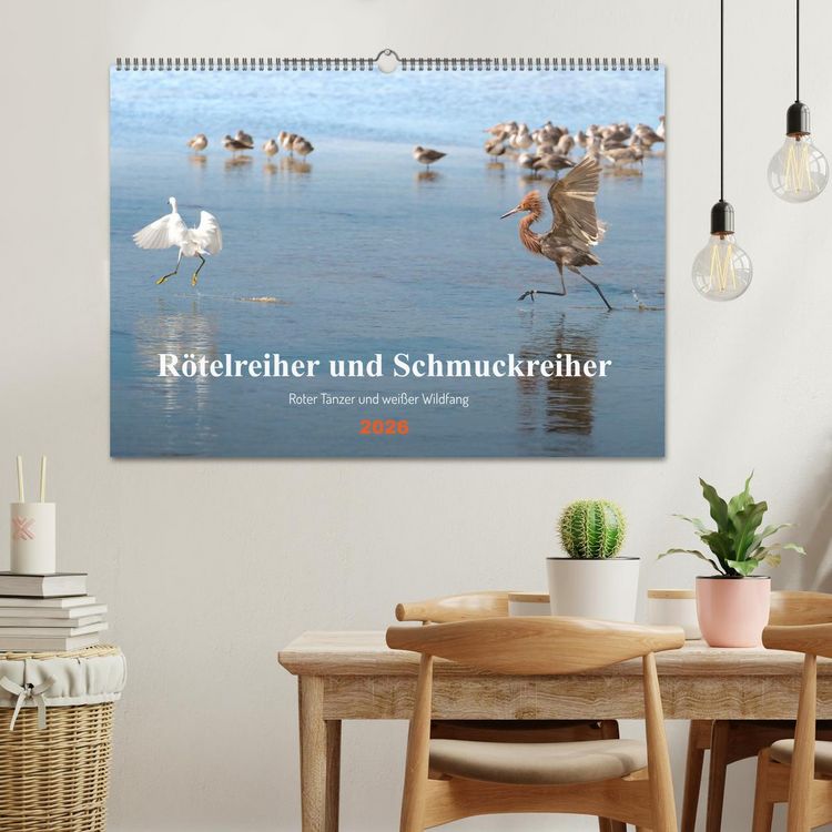 Produktbild: R&ouml;telreiher und Schmuckreiher (Wandkalender 2026 DIN A2 quer), CALVENDO Monatskalender