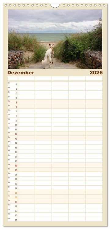 Produktbild: Familienplaner 2026 - Der Silken Windsprite - ein Seelenhund mit 5 Spalten (Wandkalender, 21 x 45 cm) CALVENDO