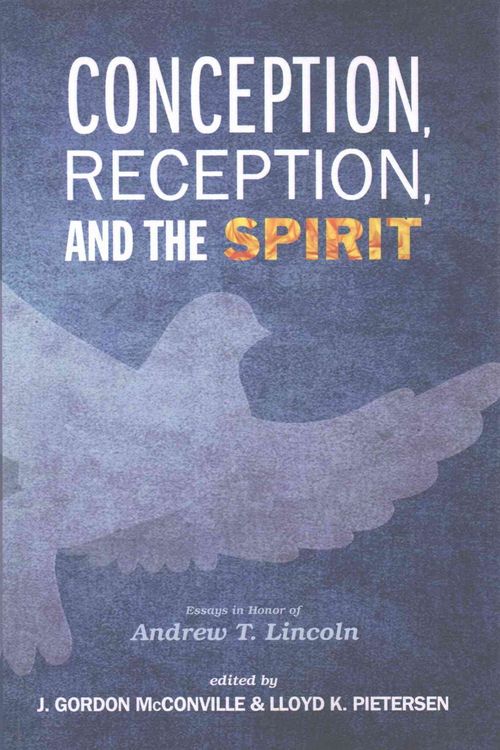 Produktbild: Conception, Reception, and the Spirit