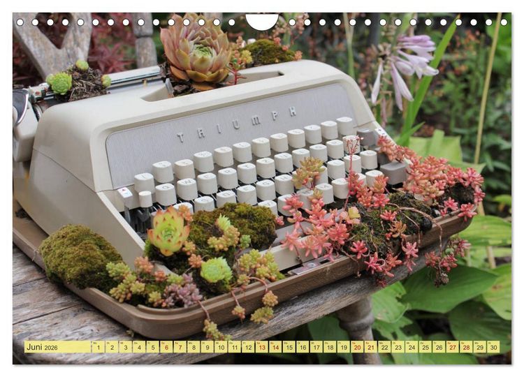 Produktbild: Gartenzauber (Wandkalender 2026 DIN A4 quer), CALVENDO Monatskalender
