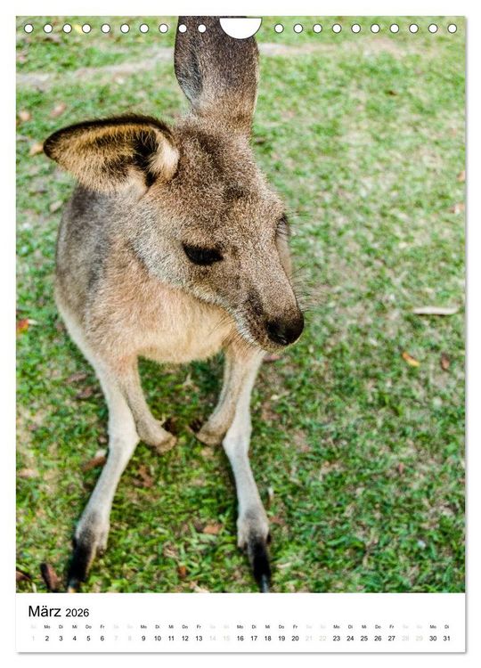 Produktbild: australian animals (Wandkalender 2026 DIN A4 hoch), CALVENDO Monatskalender