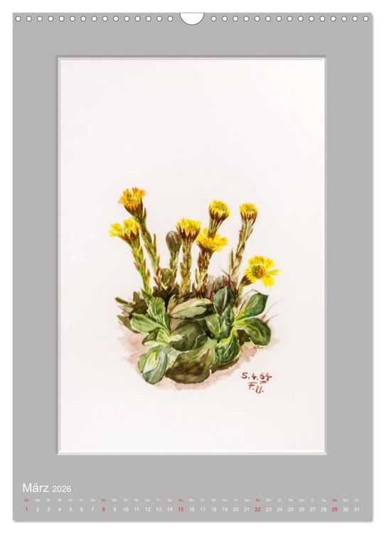 Produktbild: Alpenblumen Aquarelle aus Tirol (Wandkalender 2026 DIN A3 hoch), CALVENDO Monatskalender