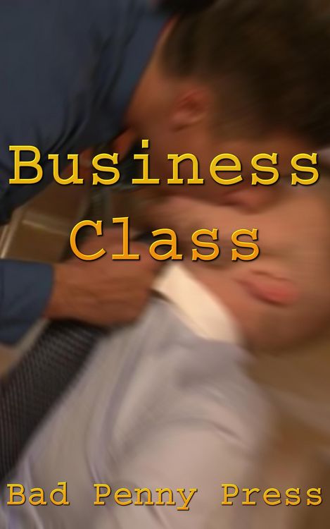Produktbild: Business Class (Working Stiffs, #3)