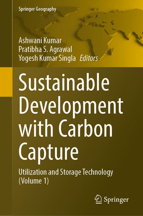 Produktbild: Sustainable Development with Carbon Capture