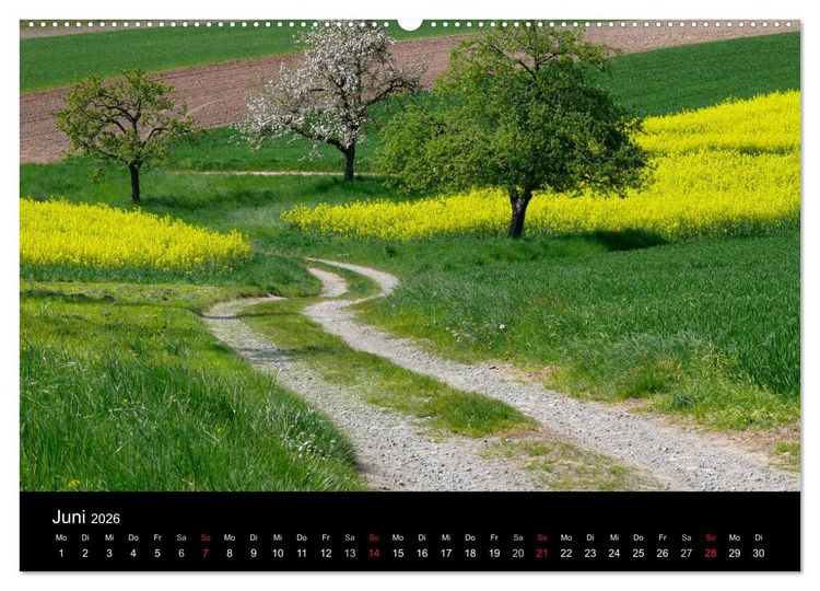 Produktbild: Wege 2026 (Wandkalender 2026 DIN A2 quer), CALVENDO Monatskalender