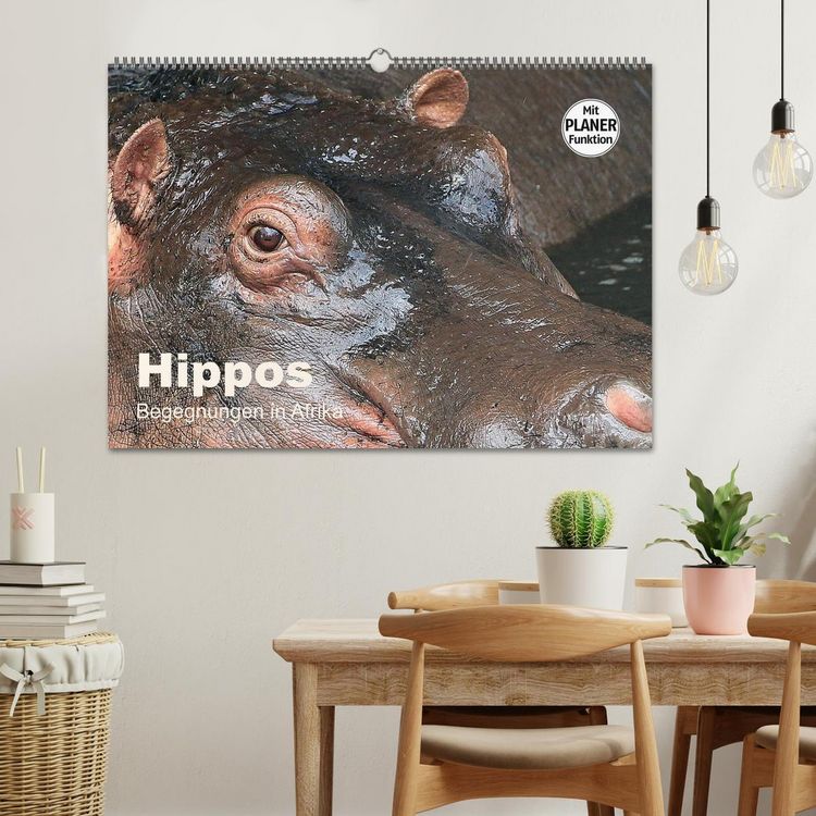 Produktbild: Hippos - Begegnungen in Afrika (Wandkalender 2026 DIN A2 quer), CALVENDO Monatskalender