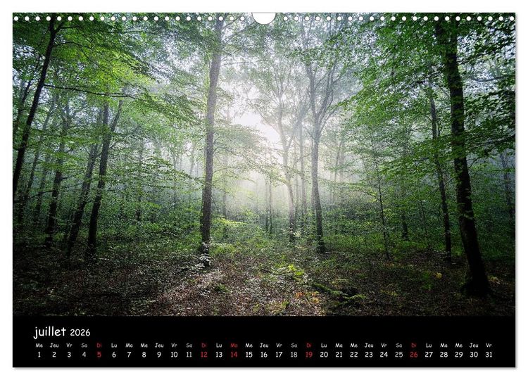 Produktbild: BROCELIANDE, la for&ecirc;t (Calendrier mural 2026 DIN A3 vertical), CALVENDO calendrier mensuel