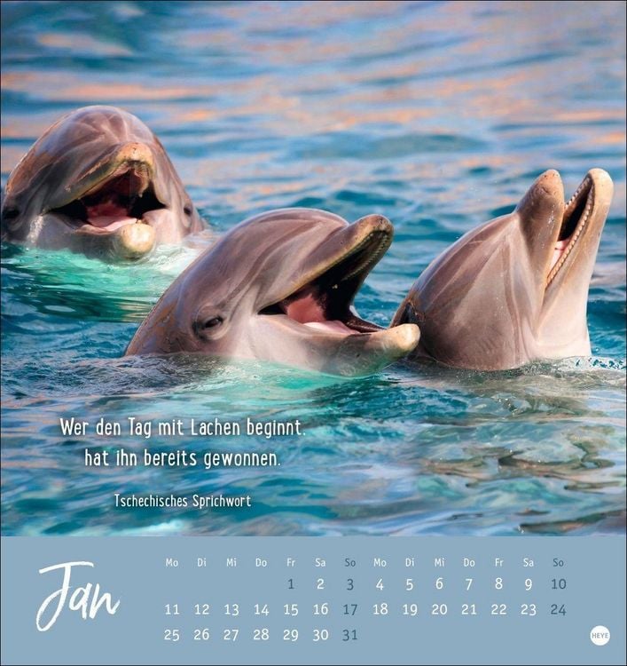 Produktbild: Never give up! Postkartenkalender 2027 - Durchhalten. Denn alles wird gut.