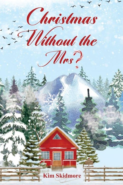 Produktbild: Christmas Without the Mrs.