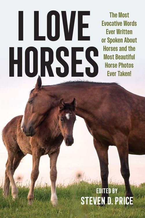 Produktbild: I Love Horses