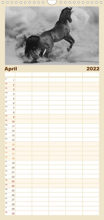 Produktbild: Familienplaner Arabische Pferde (Wandkalender 2022 , 21 cm x 45 cm, hoch)
