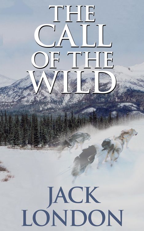 Produktbild: The Call of the Wild