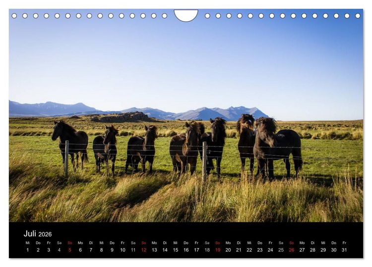 Produktbild: Island (Wandkalender 2026 DIN A4 quer), CALVENDO Monatskalender