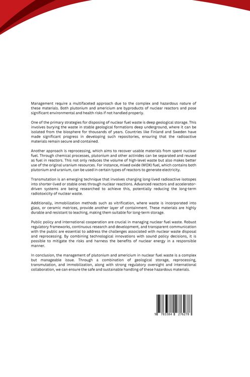 Produktbild: Strategies for Disposing and Reprocessing Nuclear Fuel Waste: Insights into Plutonium and Americium