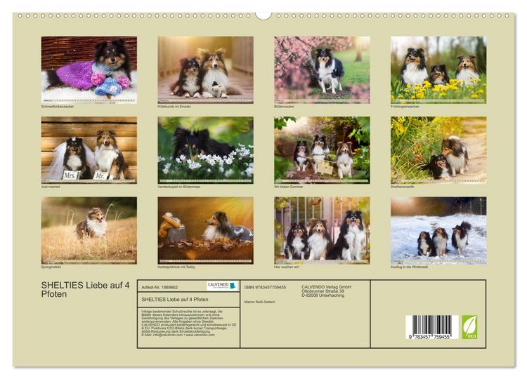 Produktbild: SHELTIES Liebe auf 4 Pfoten (hochwertiger Premium Wandkalender 2026 DIN A2 quer), Kunstdruck in Hochglanz