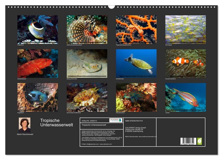 Produktbild: Tropische Unterwasserwelt (Wandkalender 2026 DIN A2 quer), CALVENDO Monatskalender