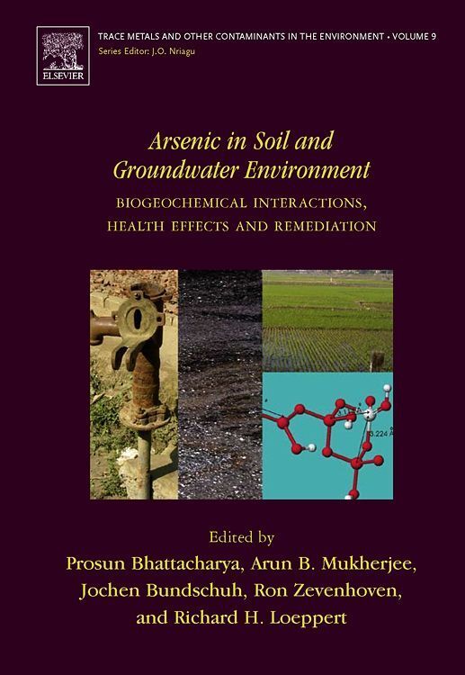 Produktbild: Arsenic in Soil and Groundwater Environment