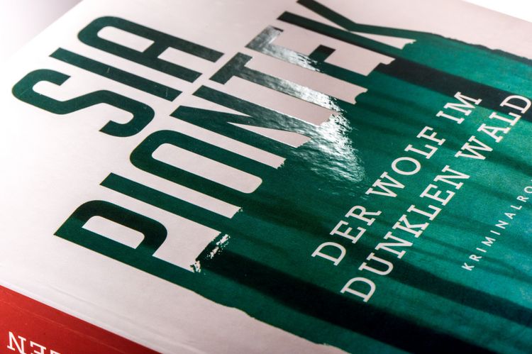 Produktbild: Der Wolf im dunklen Wald