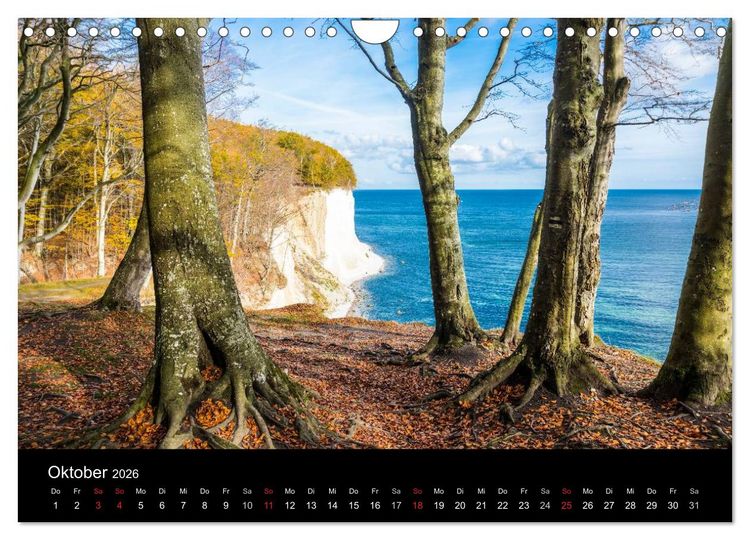 Produktbild: Gesehen auf - R&uuml;gen und Hiddensee (Wandkalender 2026 DIN A4 quer), CALVENDO Monatskalender