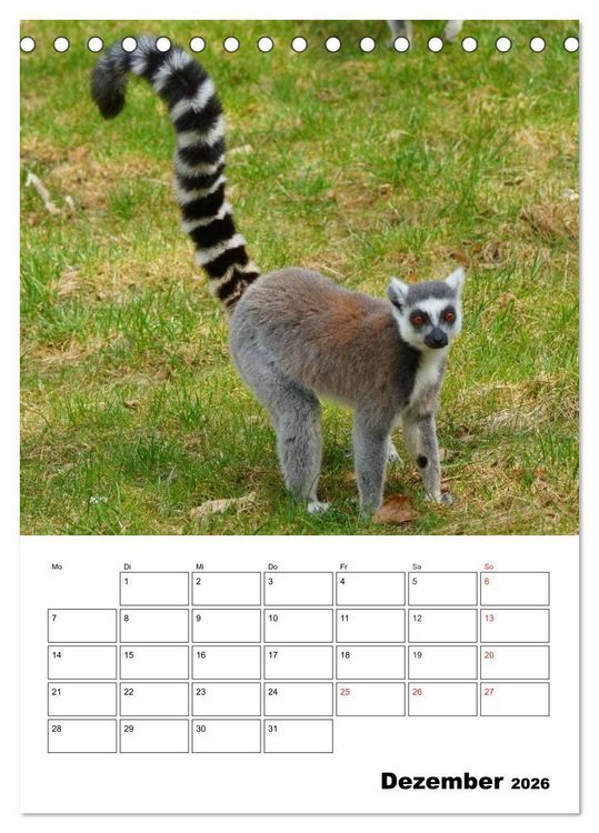 Produktbild: Katta Terminplaner (Tischkalender 2026 DIN A5 hoch), CALVENDO Monatskalender