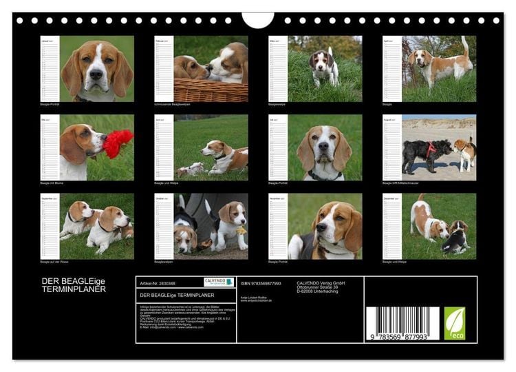 Produktbild: DER BEAGLEige TERMINPLANER (Wandkalender 2027 DIN A4 quer), CALVENDO Monatskalender