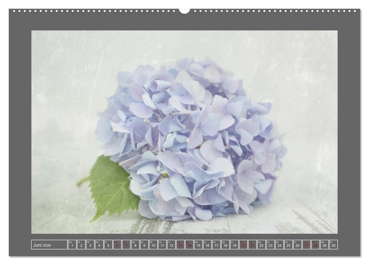 Produktbild: Blumen f&uuml;r dich (Wandkalender 2026 DIN A2 quer), CALVENDO Monatskalender