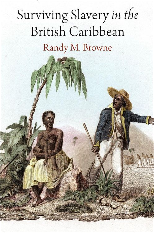Produktbild: Surviving Slavery in the British Caribbean