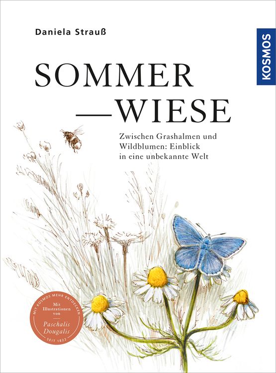 Produktbild: Sommerwiese