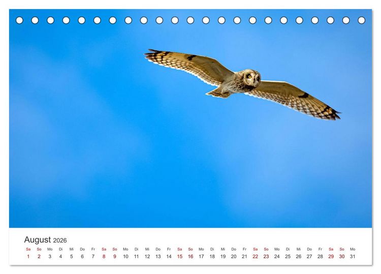 Produktbild: Eulen - Wachsame und geheimnisvolle Augen (Tischkalender 2026 DIN A5 quer), CALVENDO Monatskalender