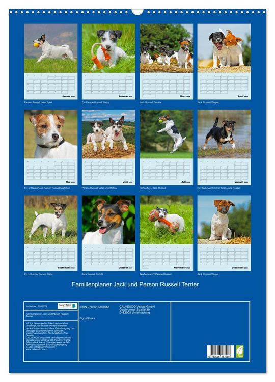 Produktbild: Familienplaner Jack und Parson Russell Terrier (Wandkalender 2026 DIN A2 hoch), CALVENDO Monatskalender