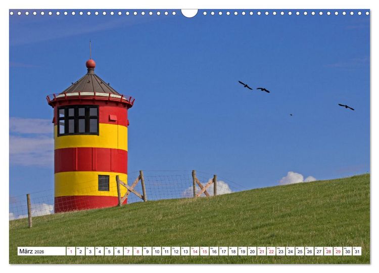 Produktbild: GREETSIEL - Schafe - Krabbenkutter - M&ouml;wen (Wandkalender 2026 DIN A3 quer), CALVENDO Monatskalender