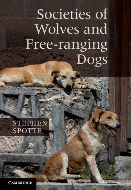 Produktbild: Societies of Wolves and Free-ranging Dogs