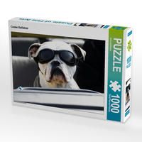 Produktbild: CALVENDO Puzzle Cooler Beifahrer 1000 Teile Lege-Gr&ouml;&szlig;e 64 x 48 cm Foto-Puzzle Bild von SchnelleWelten