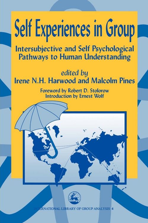 Produktbild: Self Experiences in Group Intersubjective and Self Psychological Pathways to Human Understanding