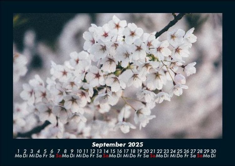 Produktbild: Blumenkalender 2025 Fotokalender DIN A5