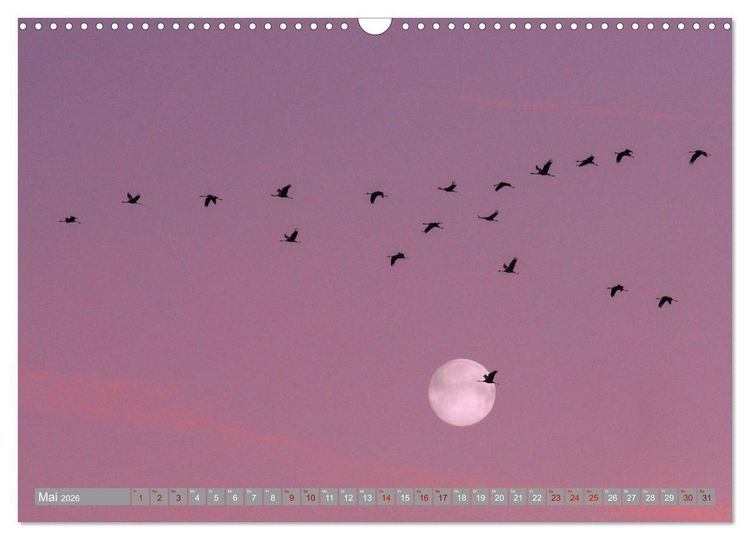 Produktbild: Vollmond - Momente der Ruhe (Wandkalender 2026 DIN A3 quer), CALVENDO Monatskalender