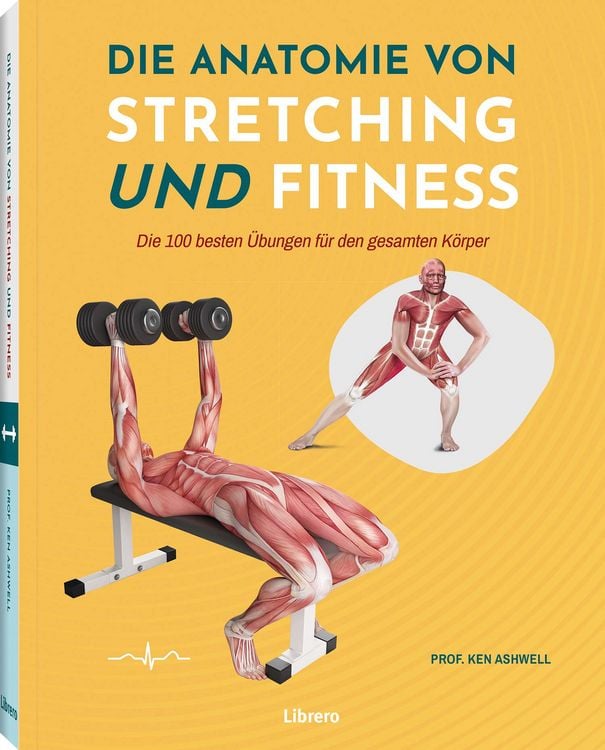 Produktbild: Die Anatomie von Stretching und Fitness
