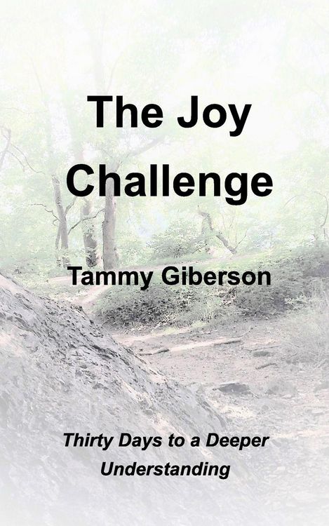 Produktbild: The Joy Challenge