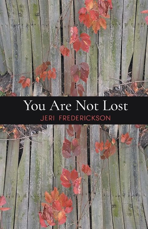 Produktbild: You Are Not Lost