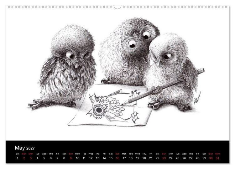 Produktbild: owls & friends 2027 (High Quality Premium Wall Calendar 2027 DIN A2 landscape),CALVENDO 12 Month Wall Calendar