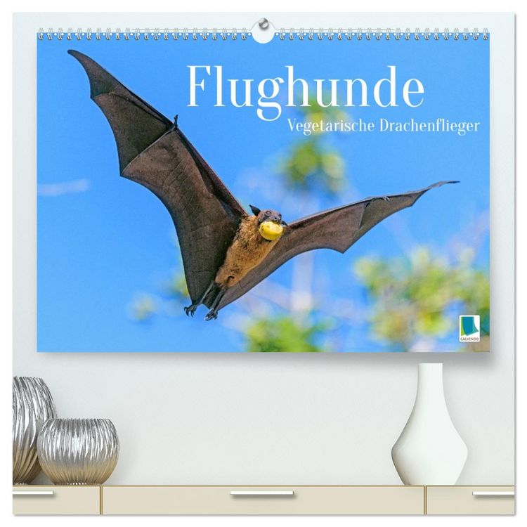 Produktbild: Flughunde: Vegetarische Drachenflieger (hochwertiger Premium Wandkalender 2026 DIN A2 quer), Kunstdruck in Hochglanz