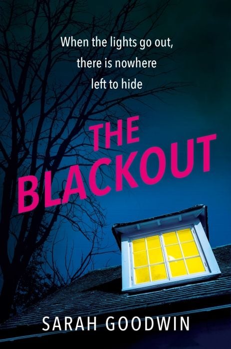 Bild vom Artikel The Blackout vom Autor Sarah Goodwin