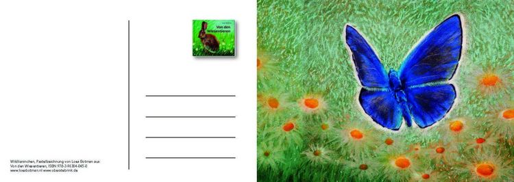 Produktbild: Von den Wiesentieren &ndash; Ein Postkartenbuch