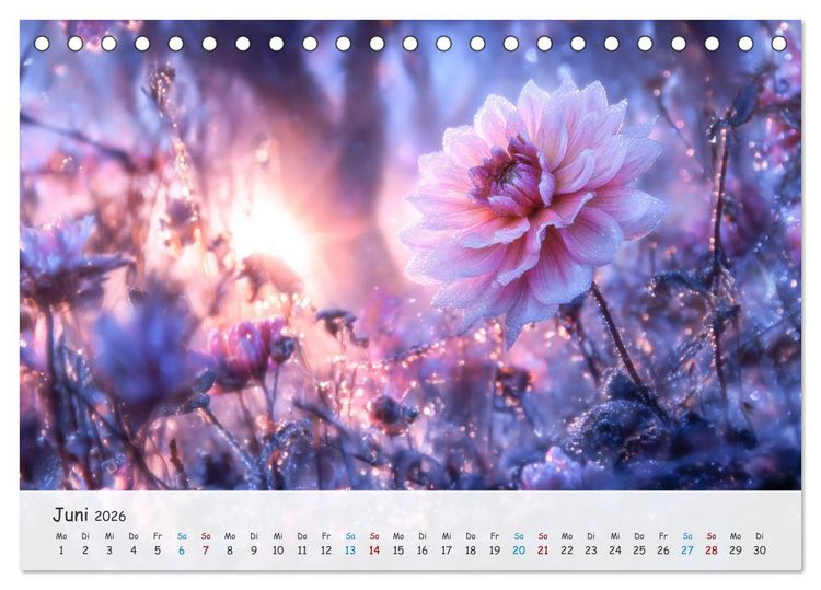 Produktbild: Florale Kompositionen (Tischkalender 2026 DIN A5 quer), CALVENDO Monatskalender